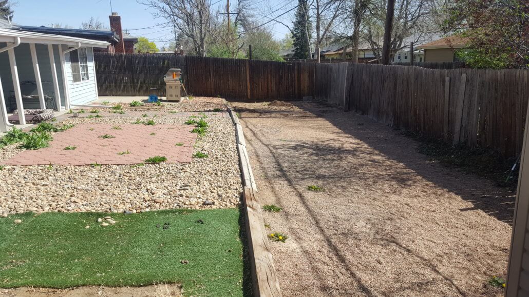 The main backyard before the home remodel